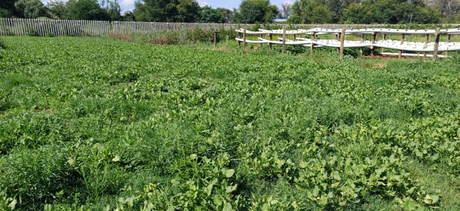 3 Bedroom Property for Sale in Oudorp North West